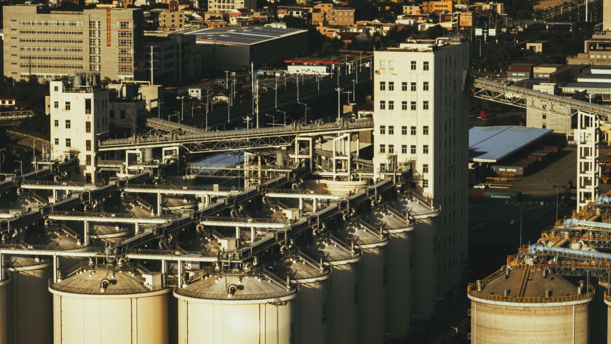 Azjatyckie tygrysy: podobieństwa i różnice modeli industrializacji