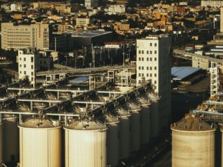 Azjatyckie tygrysy: podobieństwa i różnice modeli industrializacji